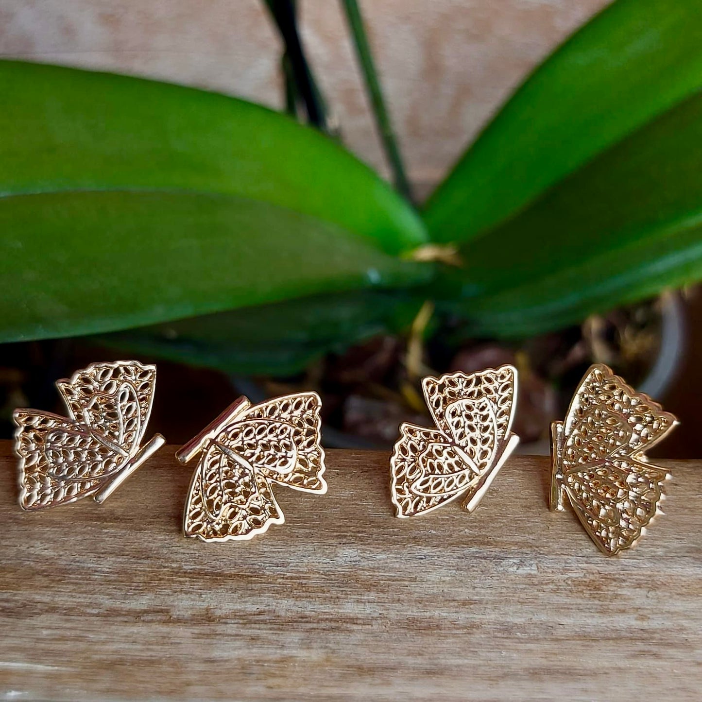 Lacewing
